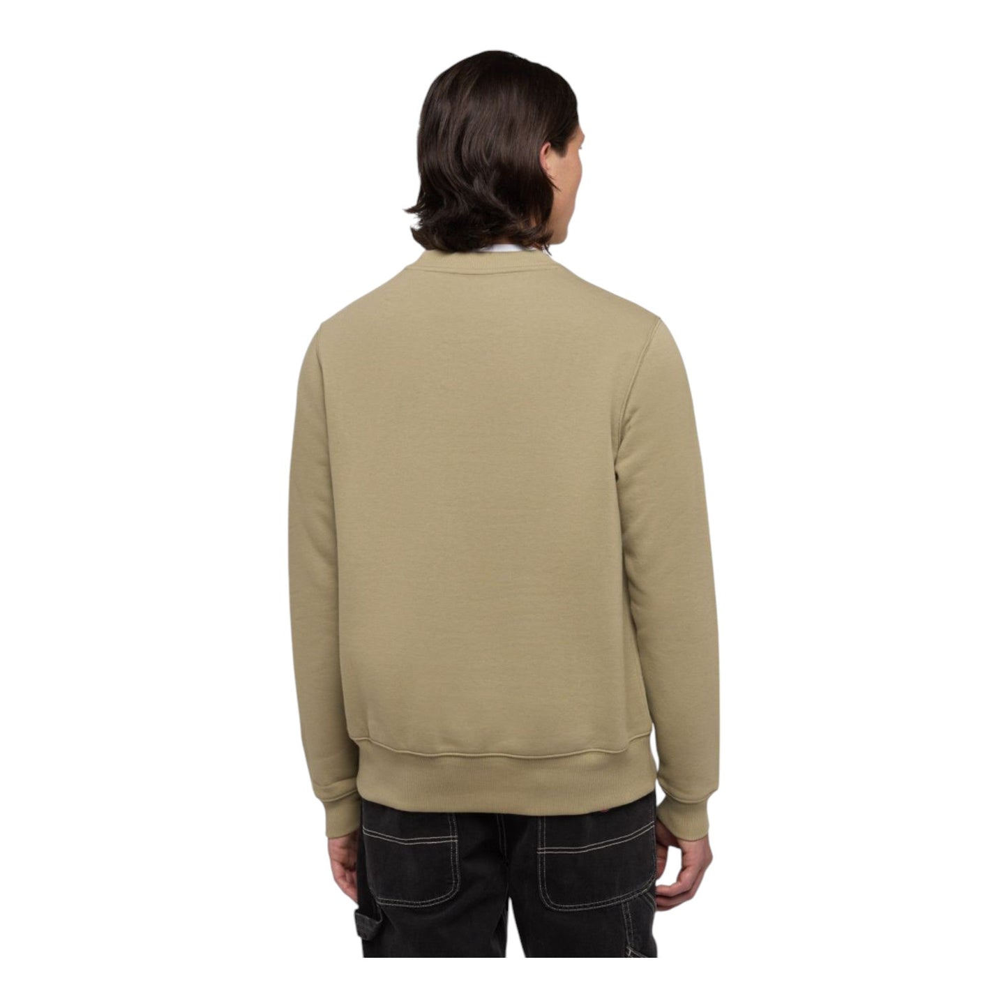 Felpa Dickies Oakport Sweatshirt - Imperial Green - Felpe di Dickies | Francis Concept