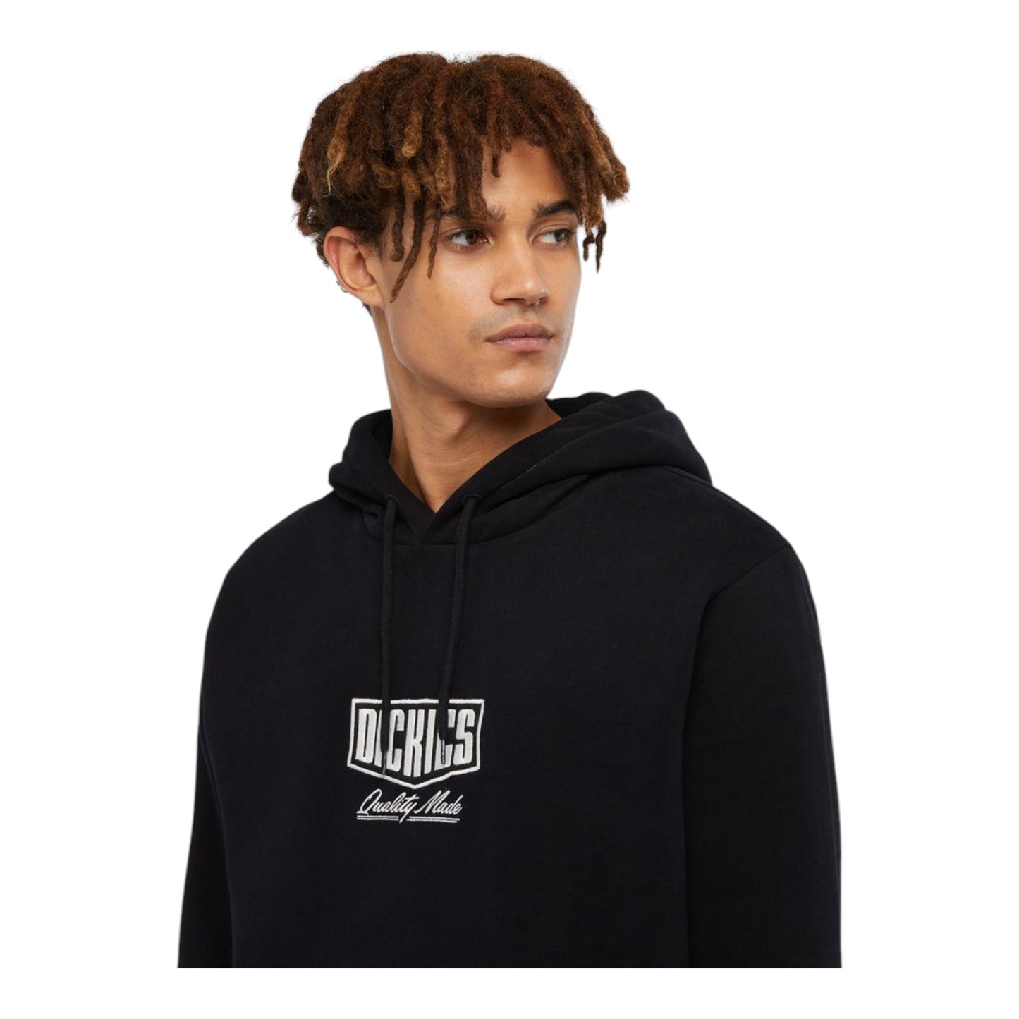 Felpa Dickies Philipsburg Hoodie - Black - Felpe di Dickies | Francis Concept