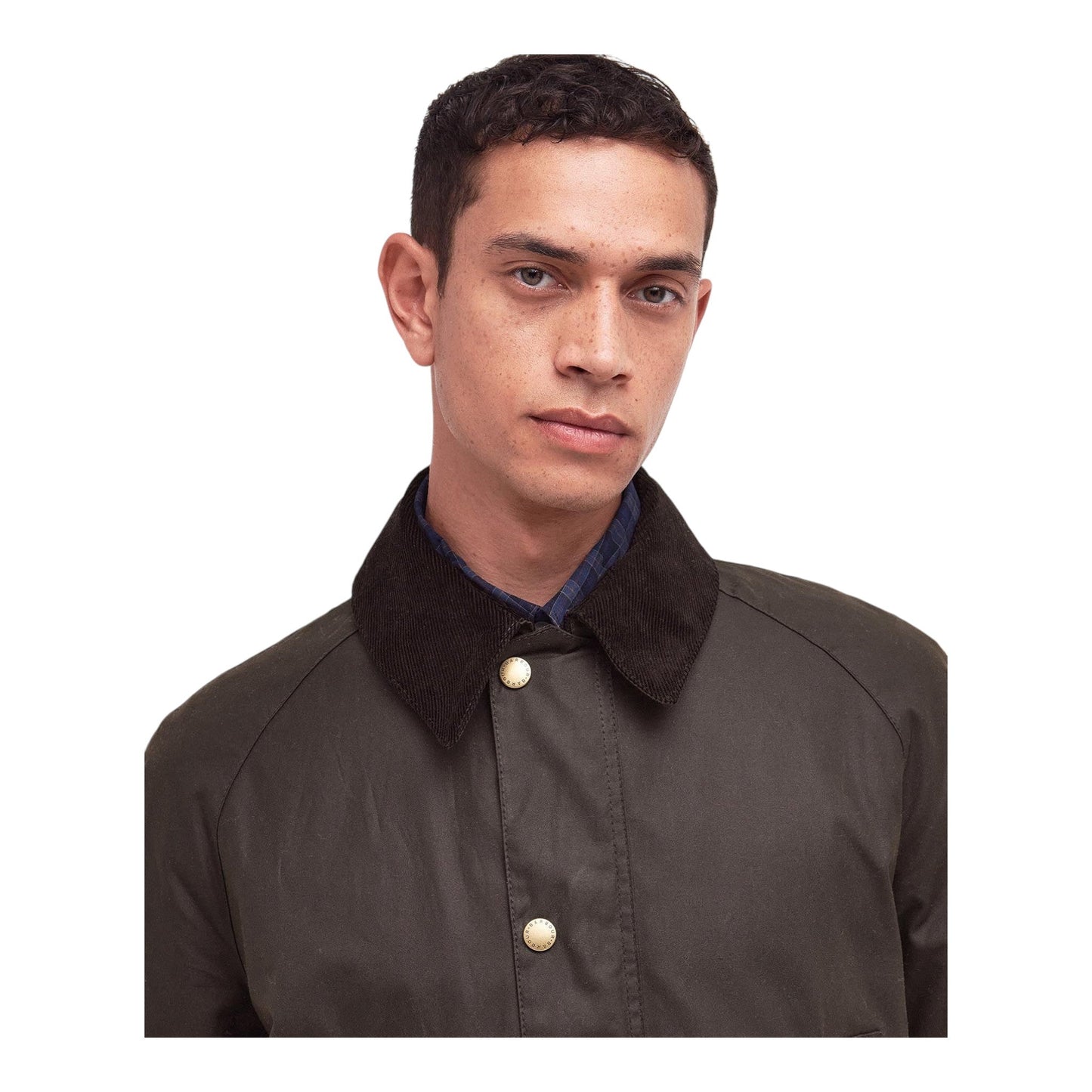 Giacca Barbour Ashby Wax Jacket - Olive - Giacche di Barbour | Francis Concept