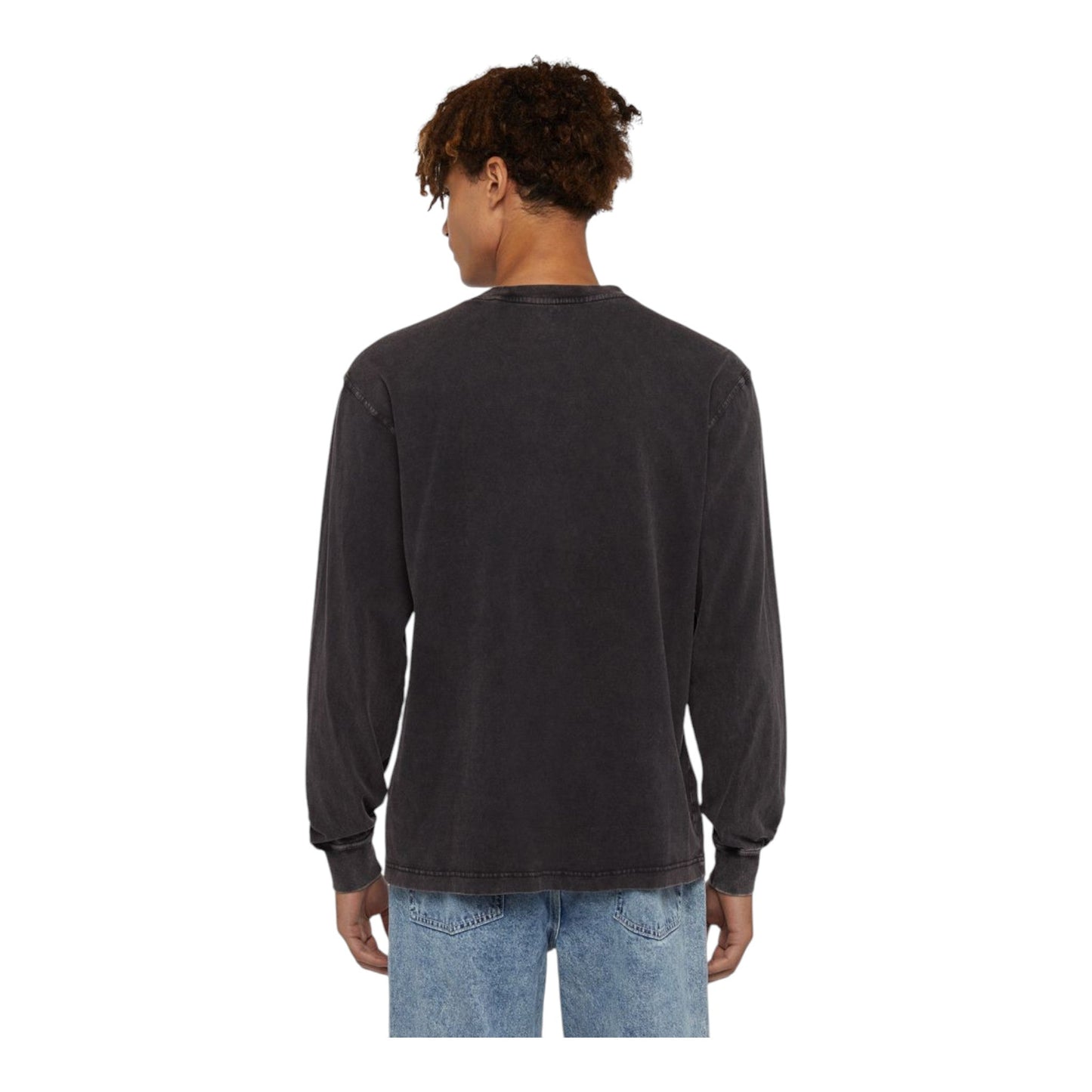 Long Sleeve Dickies Plentywood Tee - Black - Long Sleeve di Dickies | Francis Concept