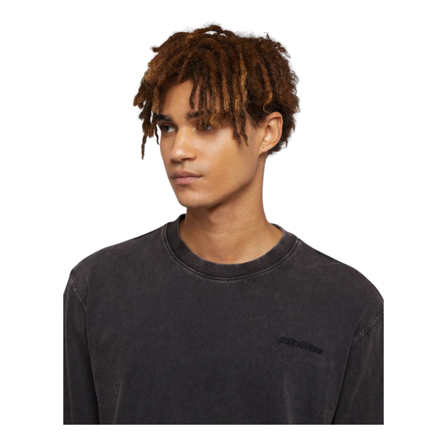 Long Sleeve Dickies Plentywood Tee - Black - Long Sleeve di Dickies | Francis Concept