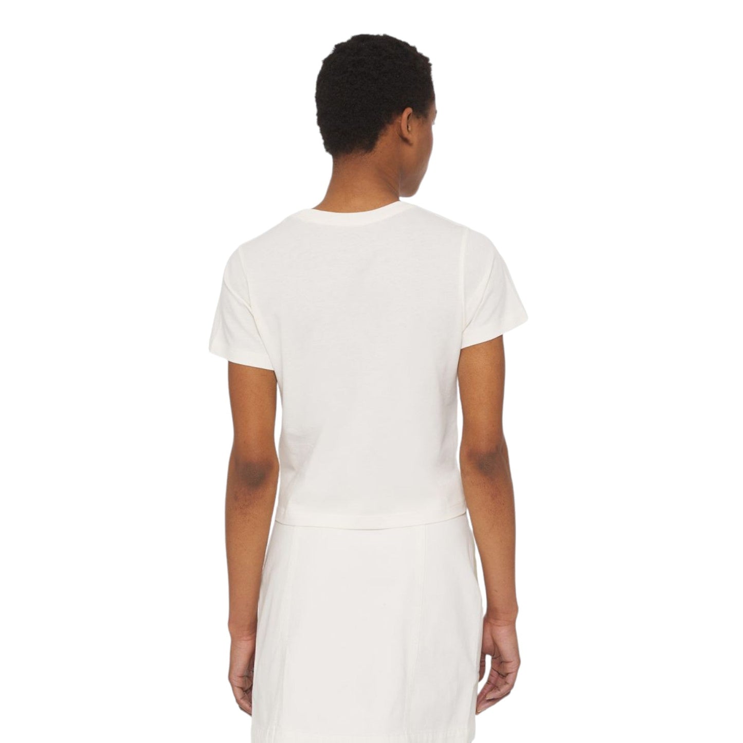 T-Shirt Dickies Aitkin Tee - Cloud - T-Shirt di Dickies | Francis Concept