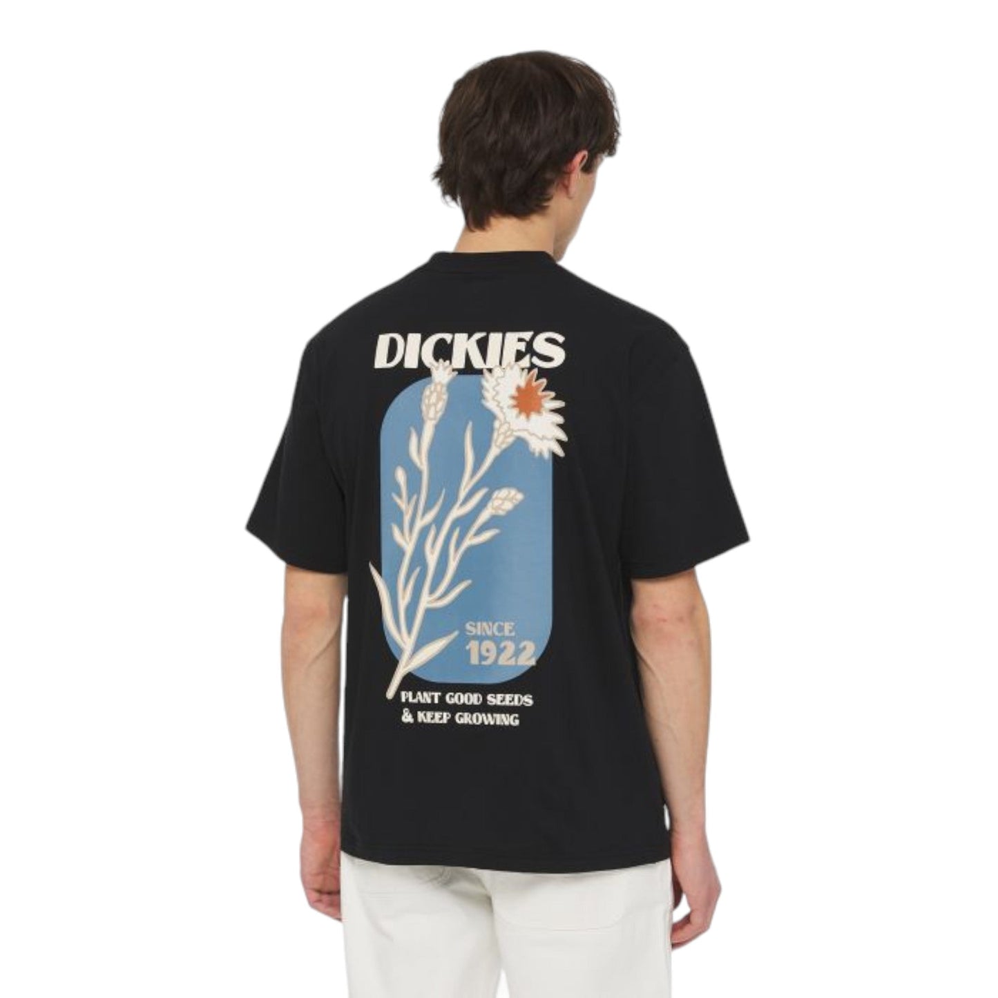 T-Shirt Dickies Herndon Tee - Black - T-Shirt di Dickies | Francis Concept