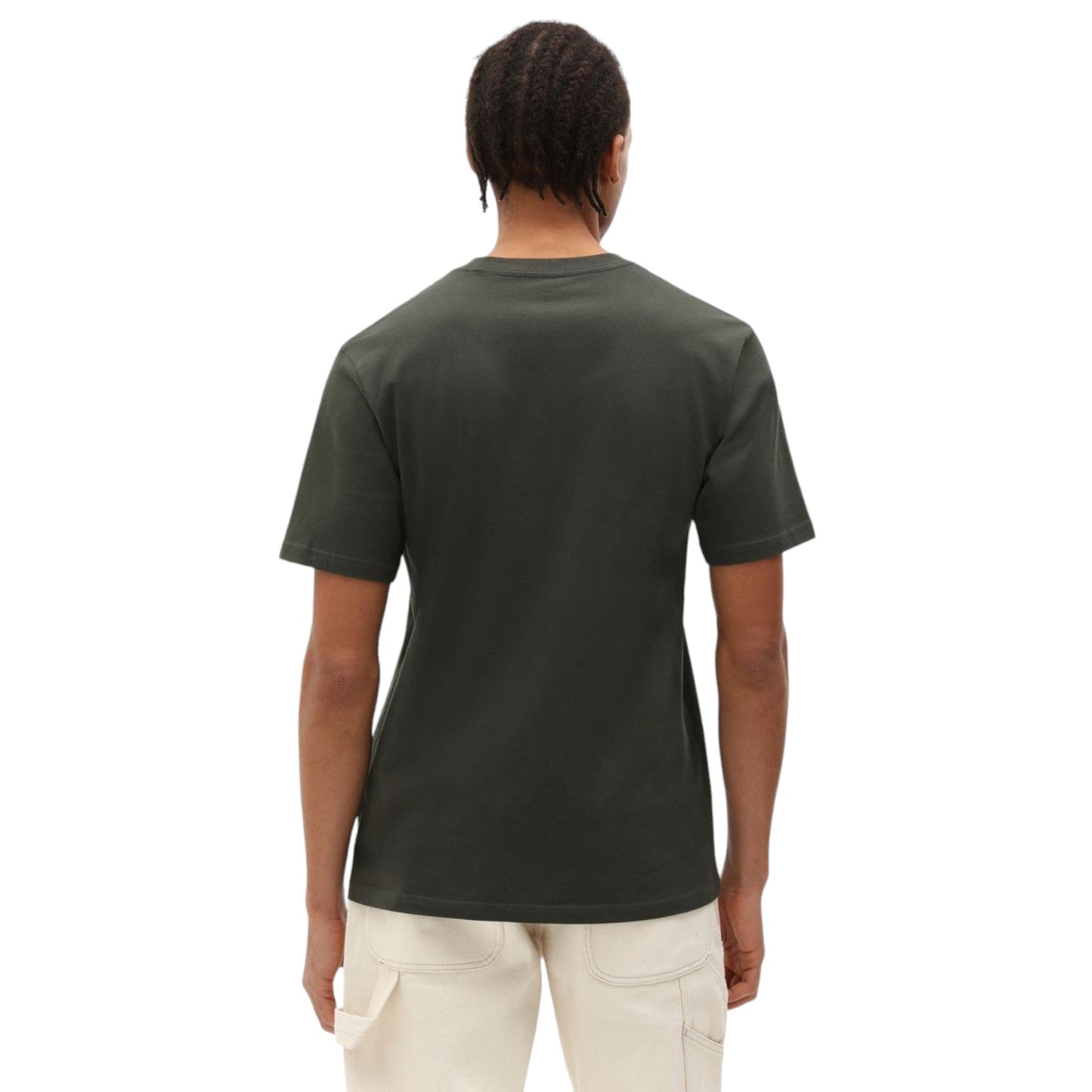 T-Shirt Dickies Mapleton Tee - Olive Green - T-Shirt di Dickies | Francis Concept