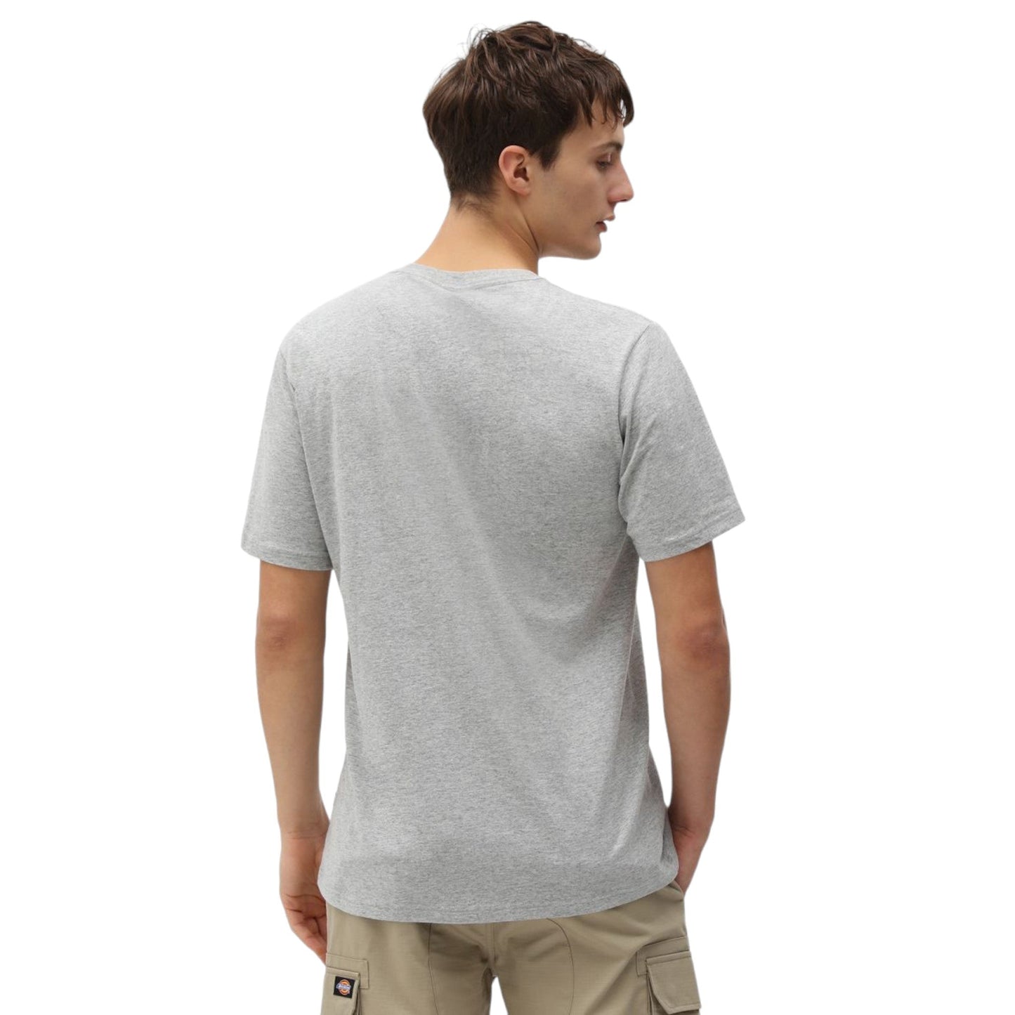 T-Shirt Dickies Mapleton Tee - Pale Green - T-Shirt di Dickies | Francis Concept