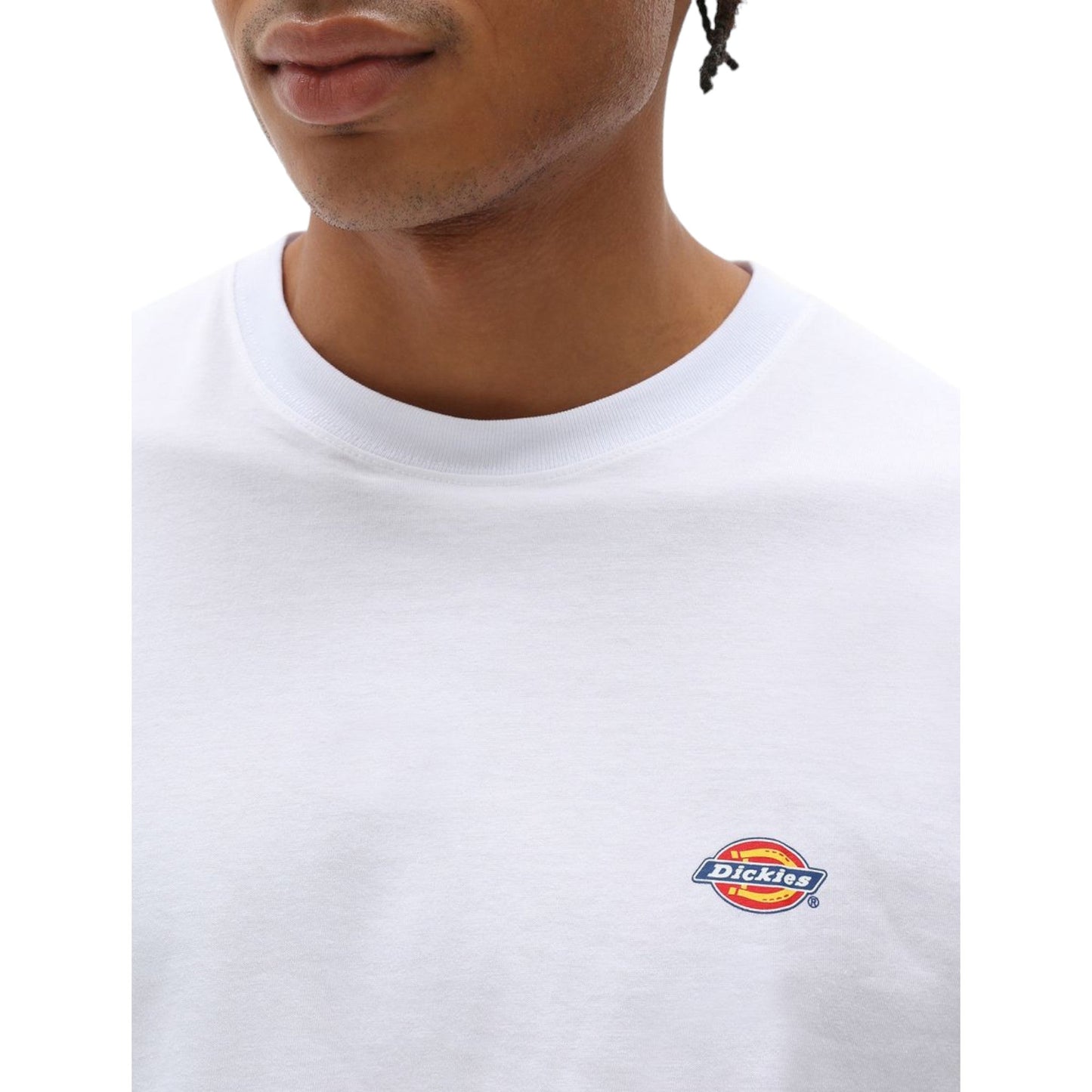 T-Shirt Dickies Mapleton Tee - White - T-Shirt di Dickies | Francis Concept