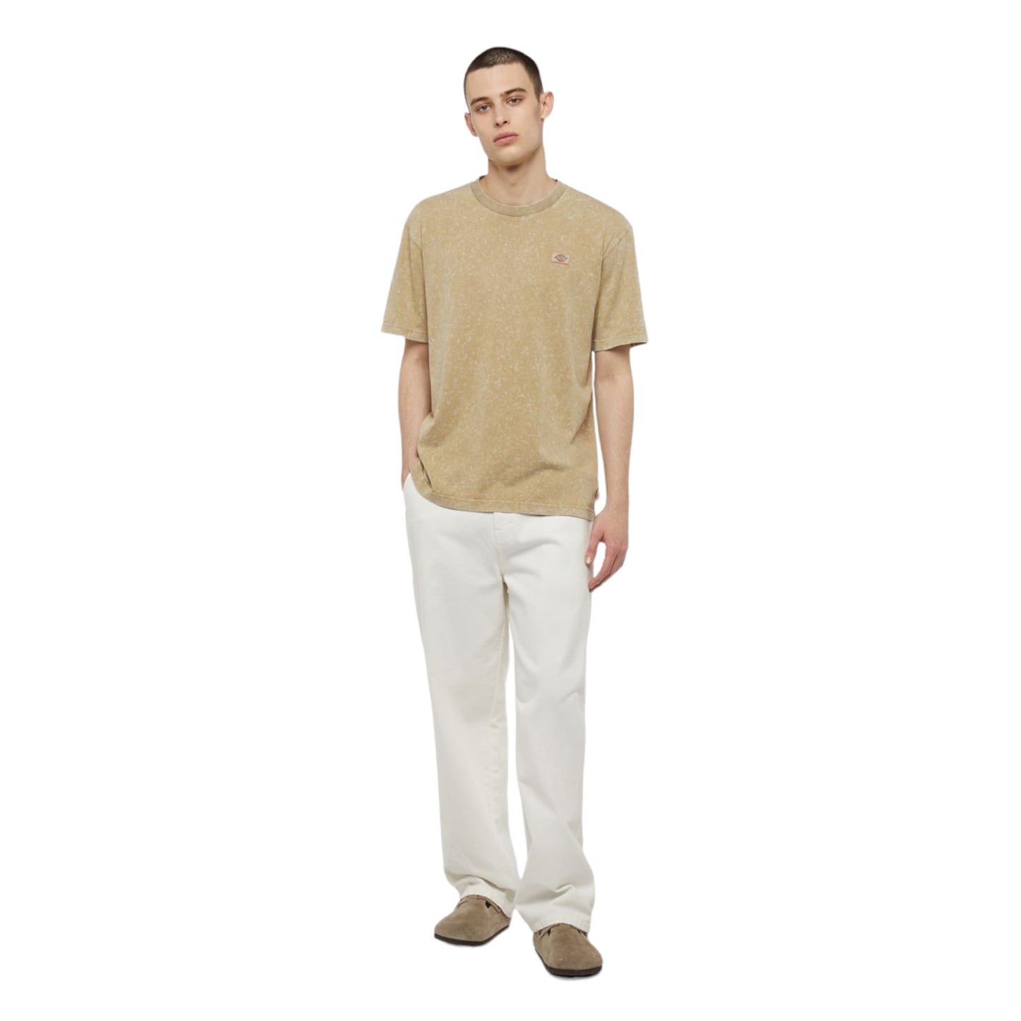 T-Shirt Dickies Newington Tee - Acid Beige - T-Shirt di Dickies | Francis Concept