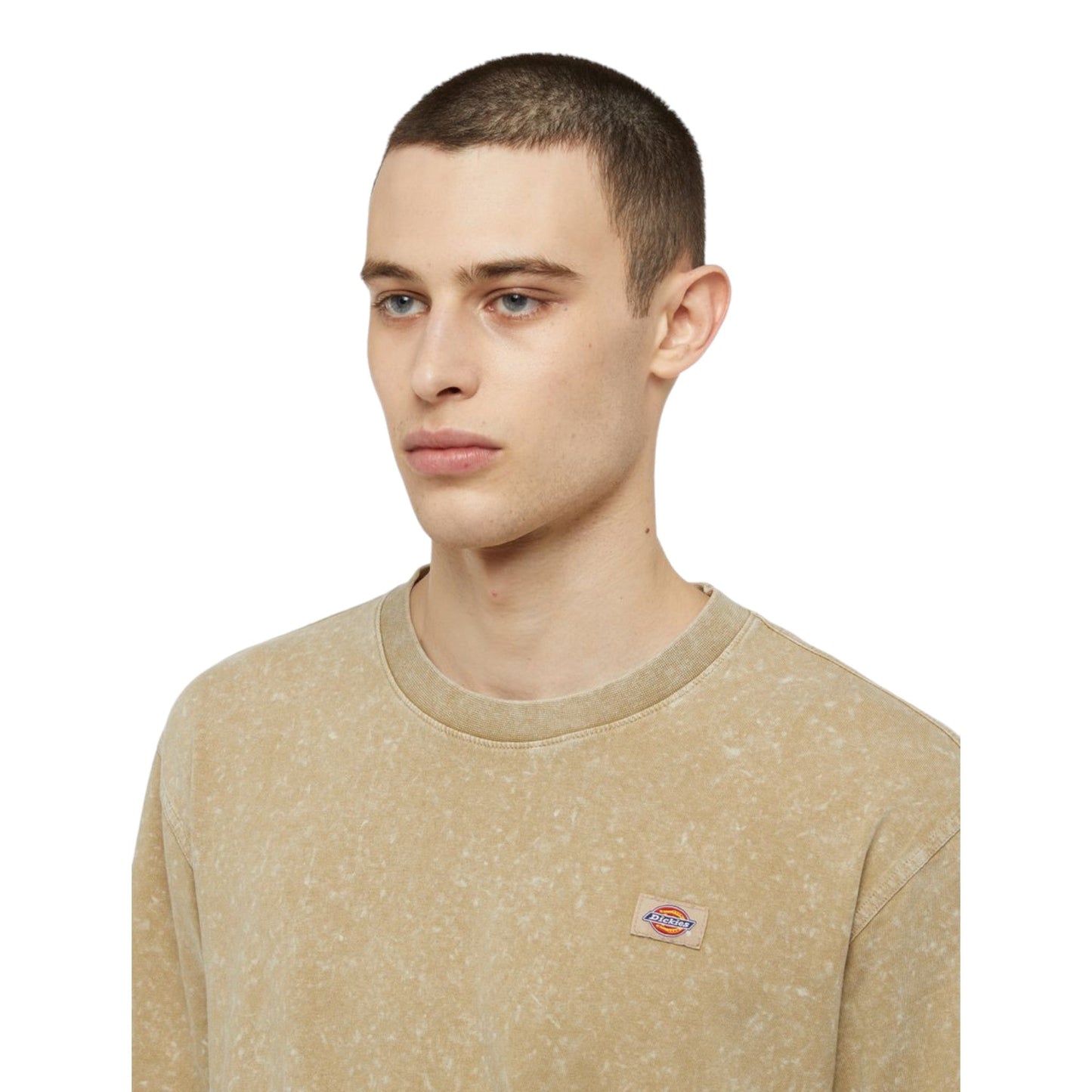 T-Shirt Dickies Newington Tee - Acid Beige - T-Shirt di Dickies | Francis Concept