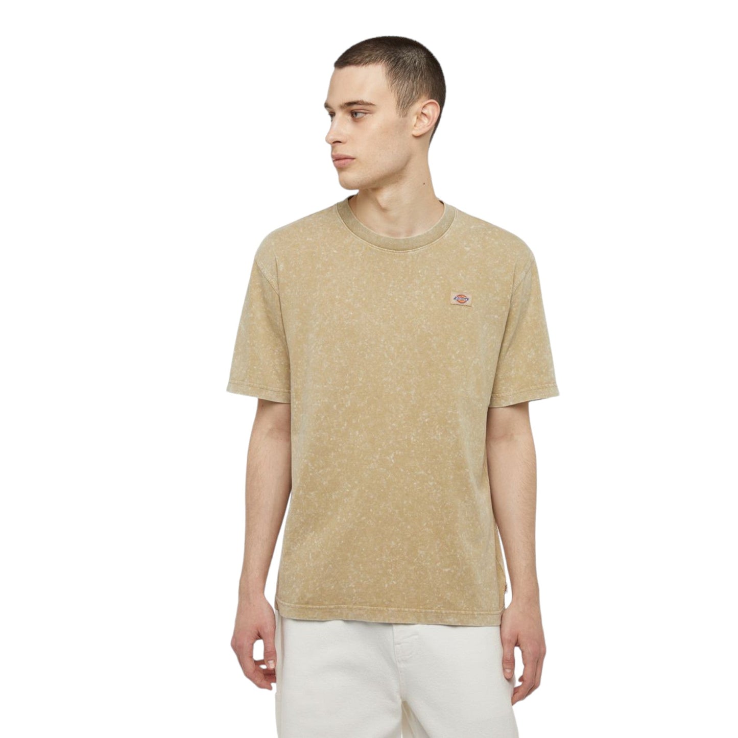 T-Shirt Dickies Newington Tee - Acid Beige - T-Shirt di Dickies | Francis Concept