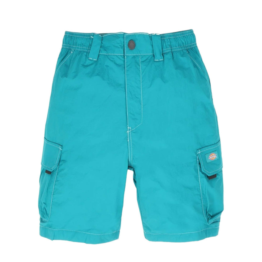 Dickies Jackson Cargo Short - Deep Lake Francis Concept