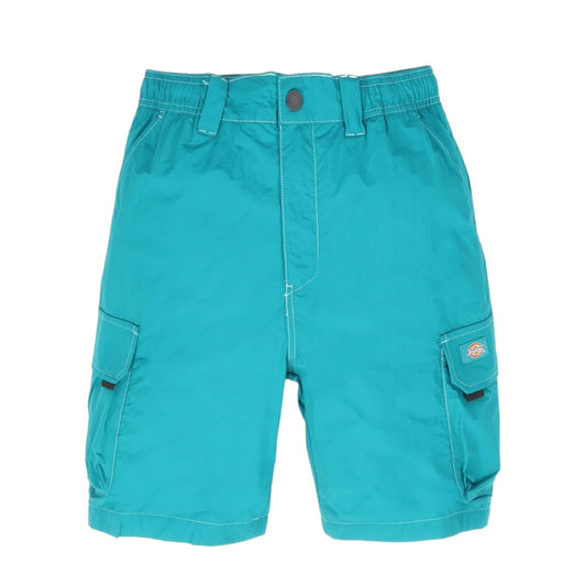 Dickies Jackson Cargo Short - Deep Lake Francis Concept