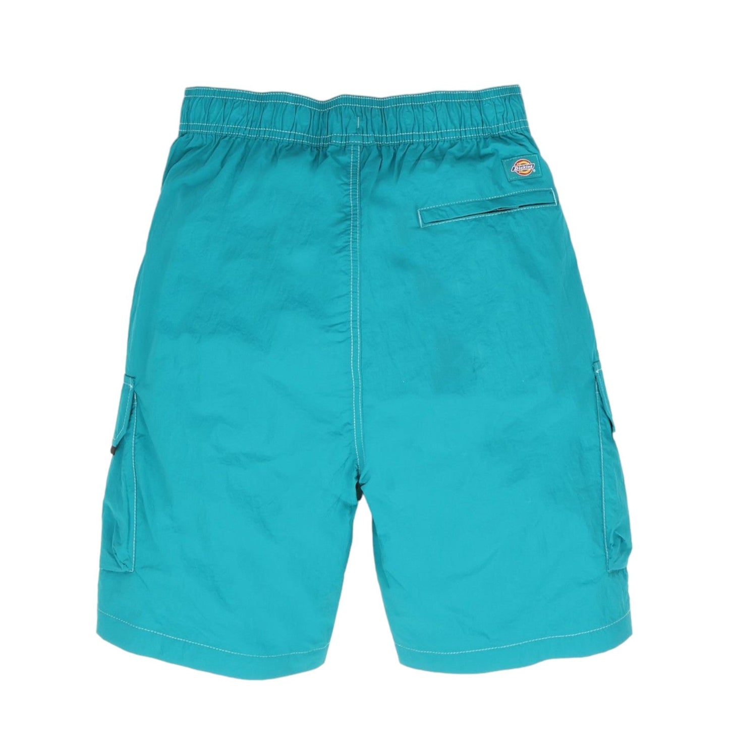 Dickies Jackson Cargo Short - Deep Lake Francis Concept