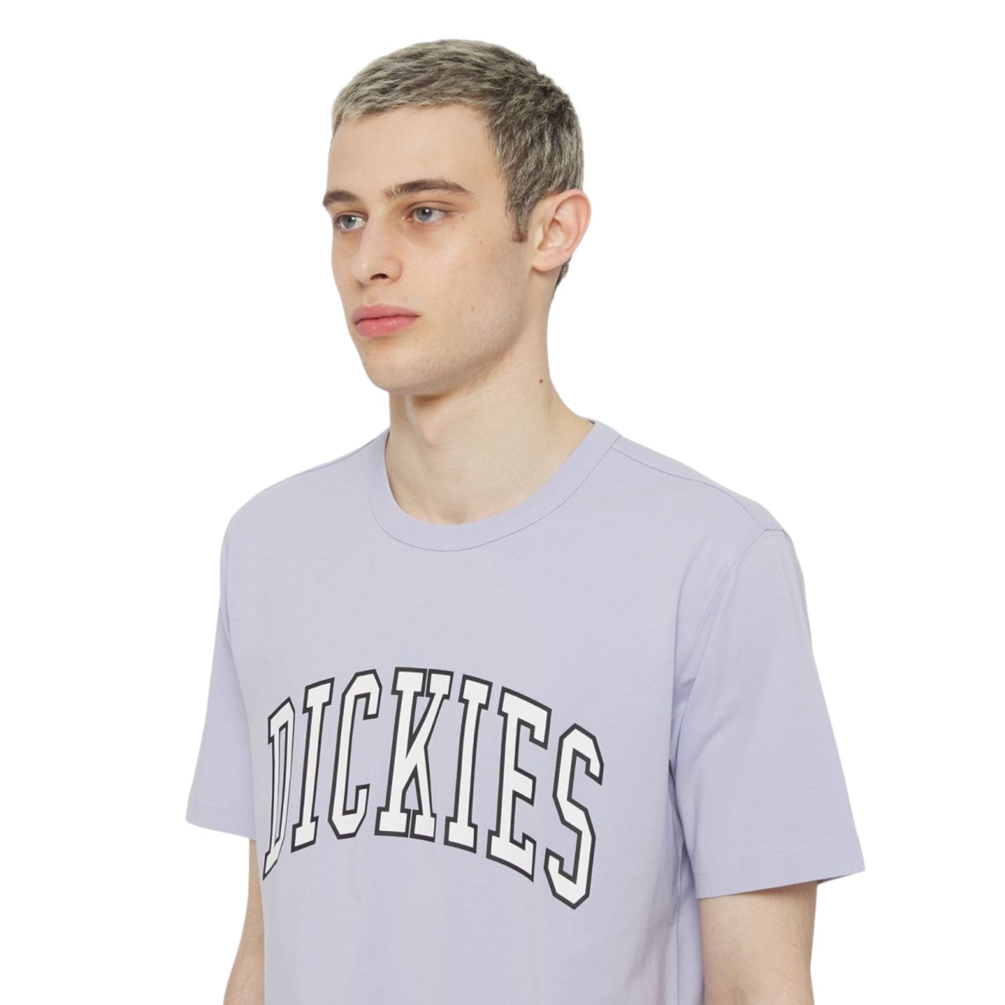 T-Shirt Dickies Aitkin Tee - Cosmic Sky Francis Concept