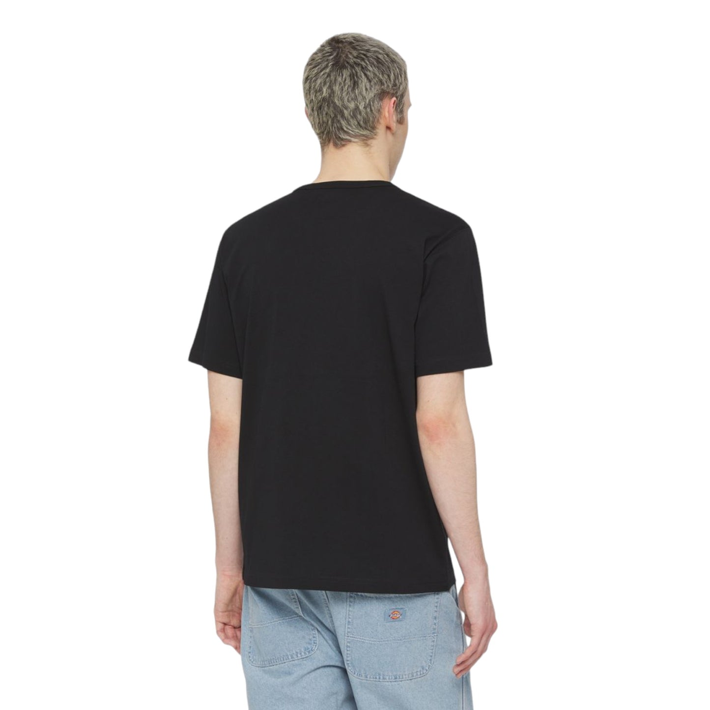 T-Shirt Dickies Aitkin Tee - Black Francis Concept