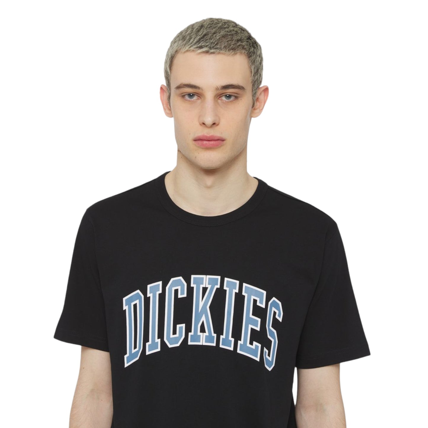 T-Shirt Dickies Aitkin Tee - Black Francis Concept