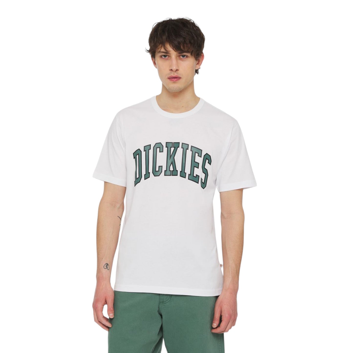 T-Shirt Dickies Aitkin Tee -White Francis Concept