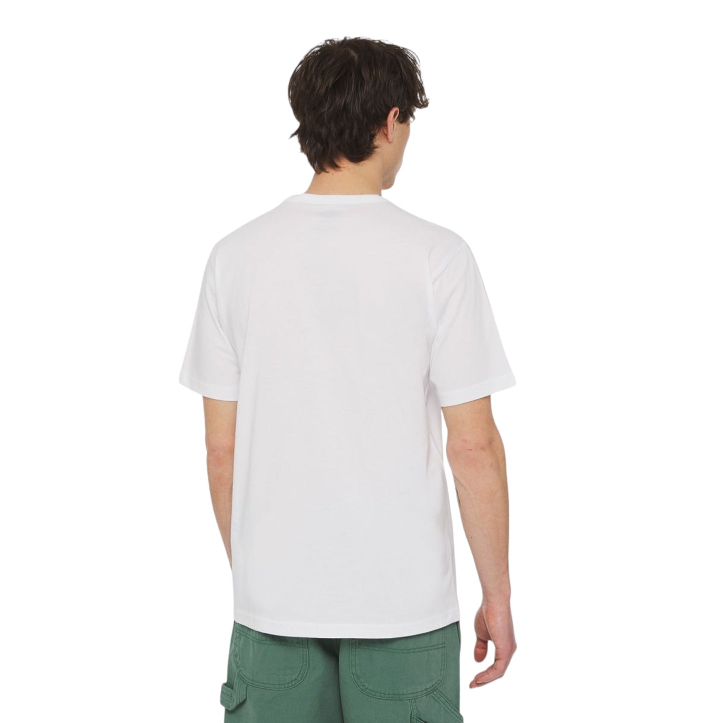 T-Shirt Dickies Aitkin Tee -White Francis Concept