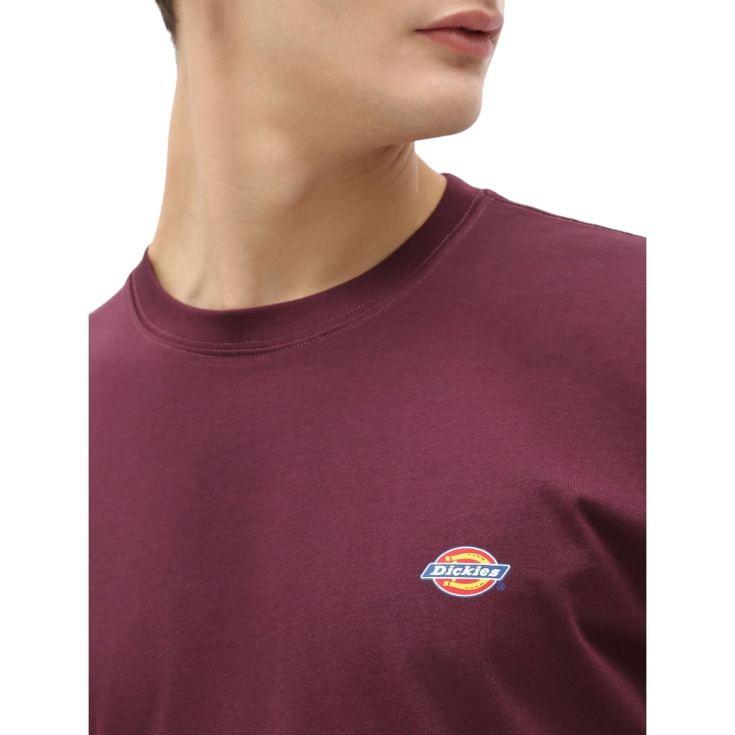 T-Shirt Dickies Mapleton Tee - Maroon Francis Concept