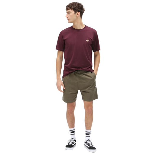 T-Shirt Dickies Mapleton Tee - Maroon Francis Concept