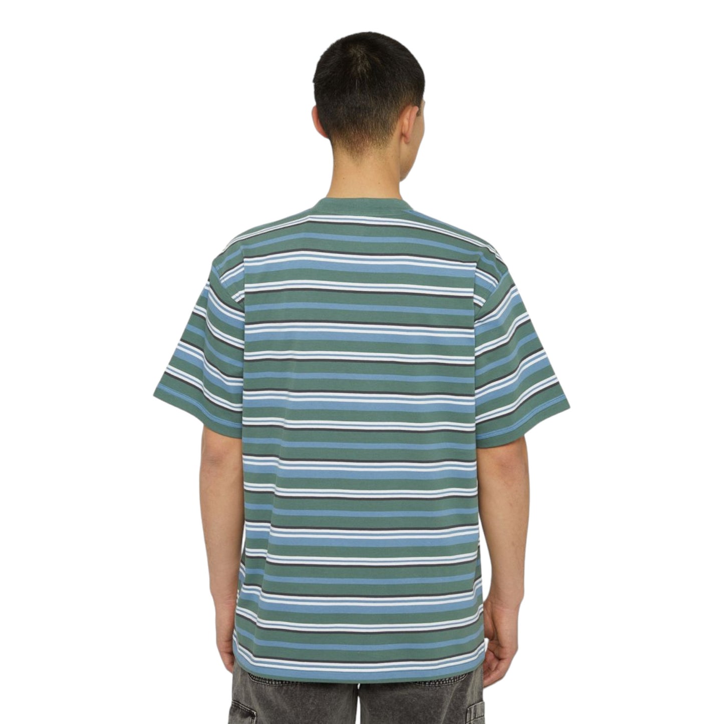 T-Shirt Dickies Glade Spring Tee - Green Stripe Francis Concept