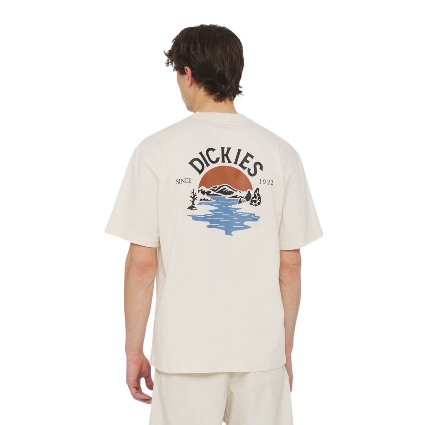 T-Shirt Dickies Beach Tee - Whitecap Grey Francis Concept