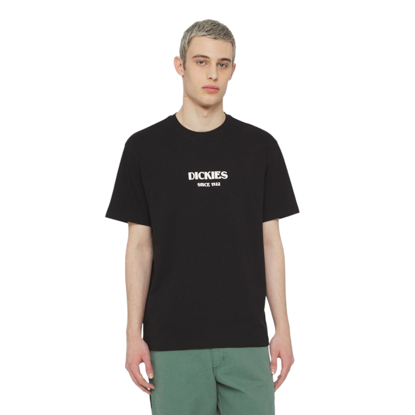 T-Shirt Dickies Max Meadows Tee - Black