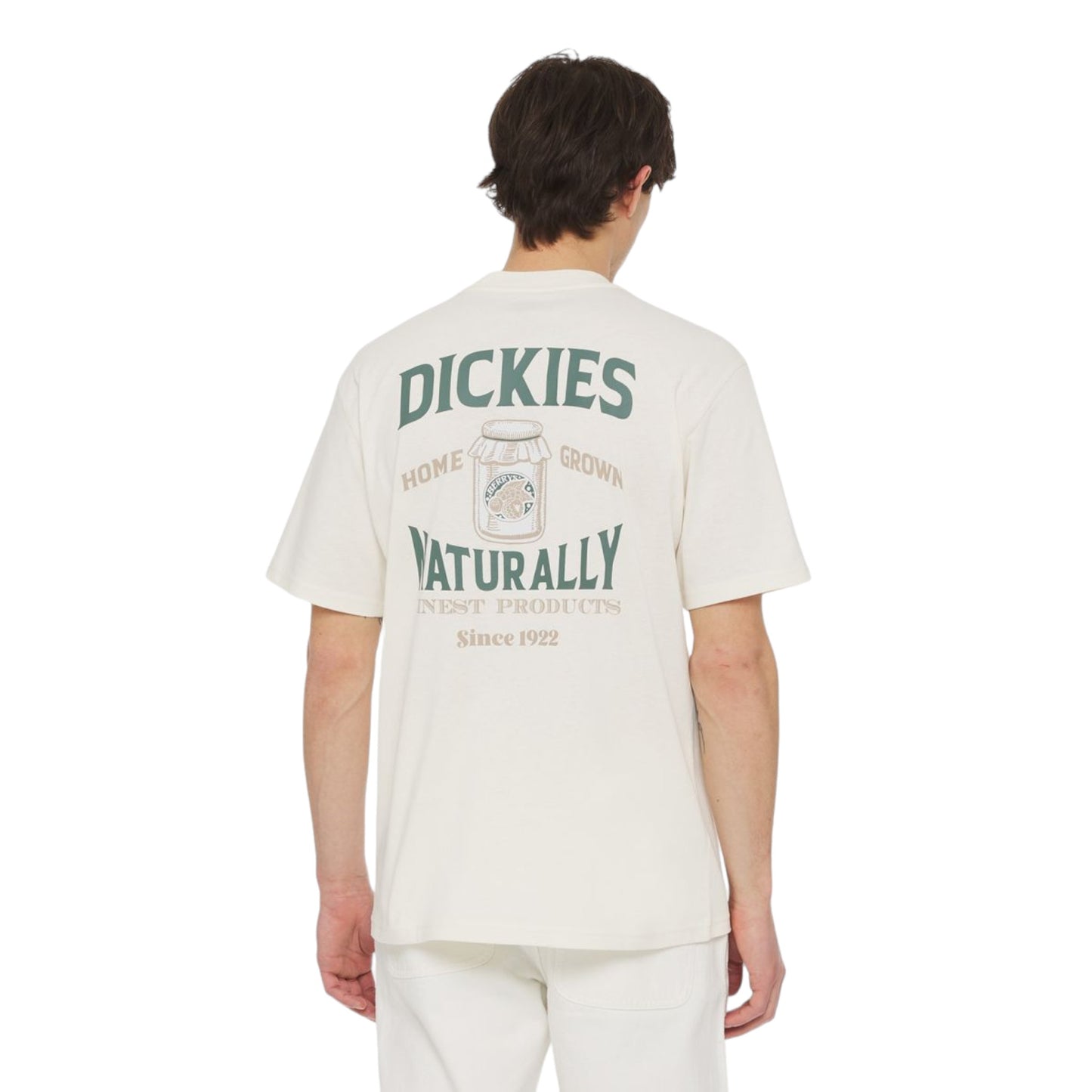 T-Shirt Dickies Elliston Tee - Cloud Francis Concept