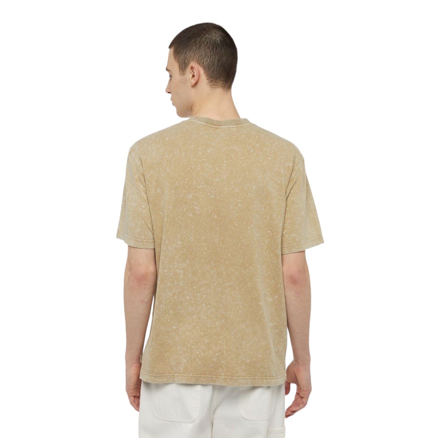 T-Shirt Dickies Newington Tee - Acid Beige Francis Concept