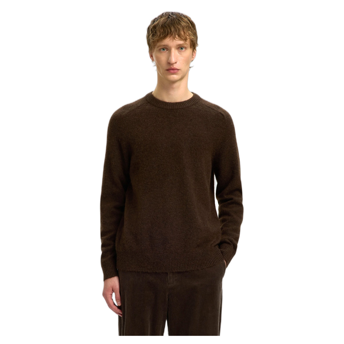 Maglione Selected Homme Rai LS Knit Reg Crew Neck - Delicioso