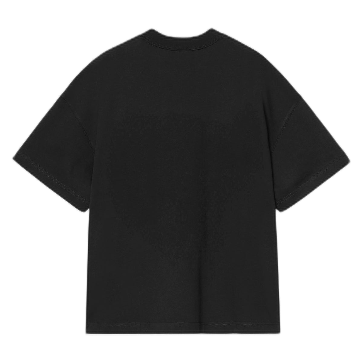 T-Shirt Carhartt Wip S/S Chapter Script T-Shirt - Black / White