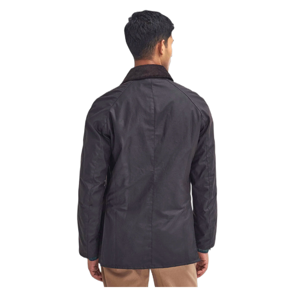 Giacca Barbour Ashby Wax Jacket - Rustic Classic