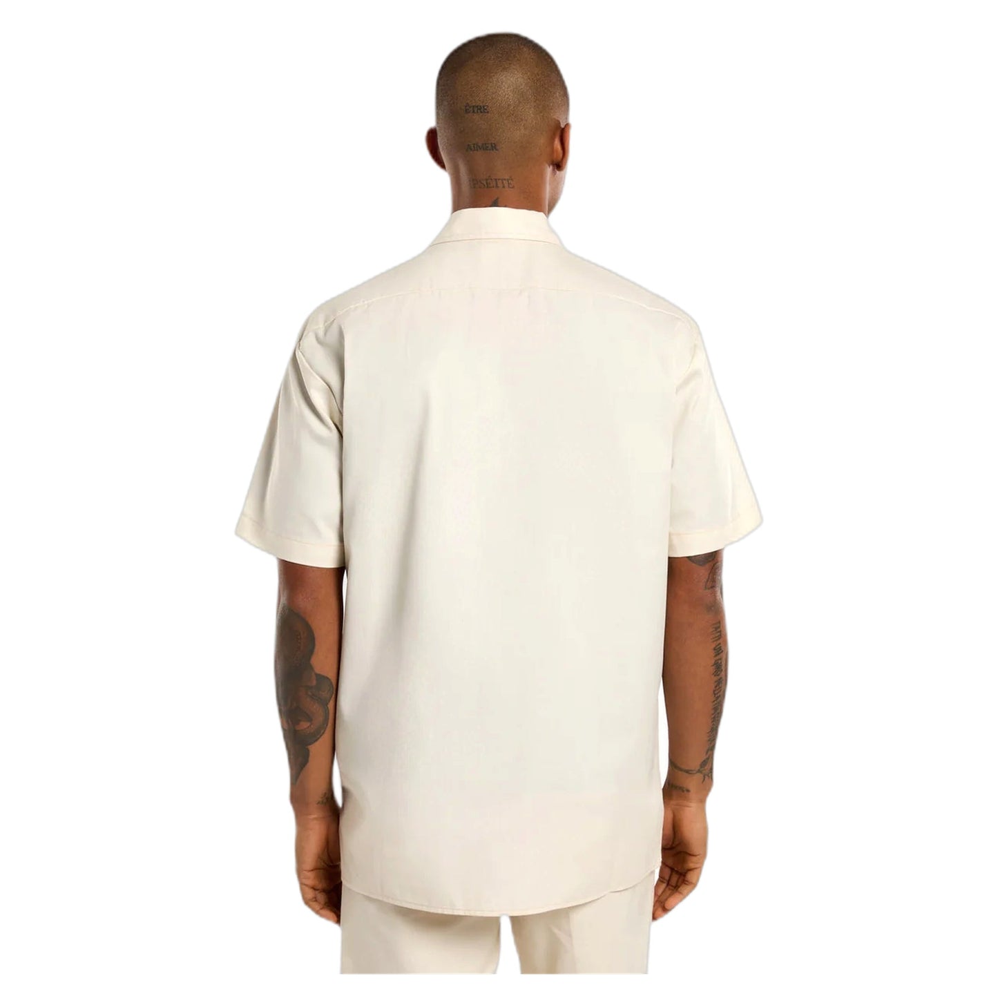 Camicia Dickies 247 GD Work Shirt SS - Stone-Francis Concept