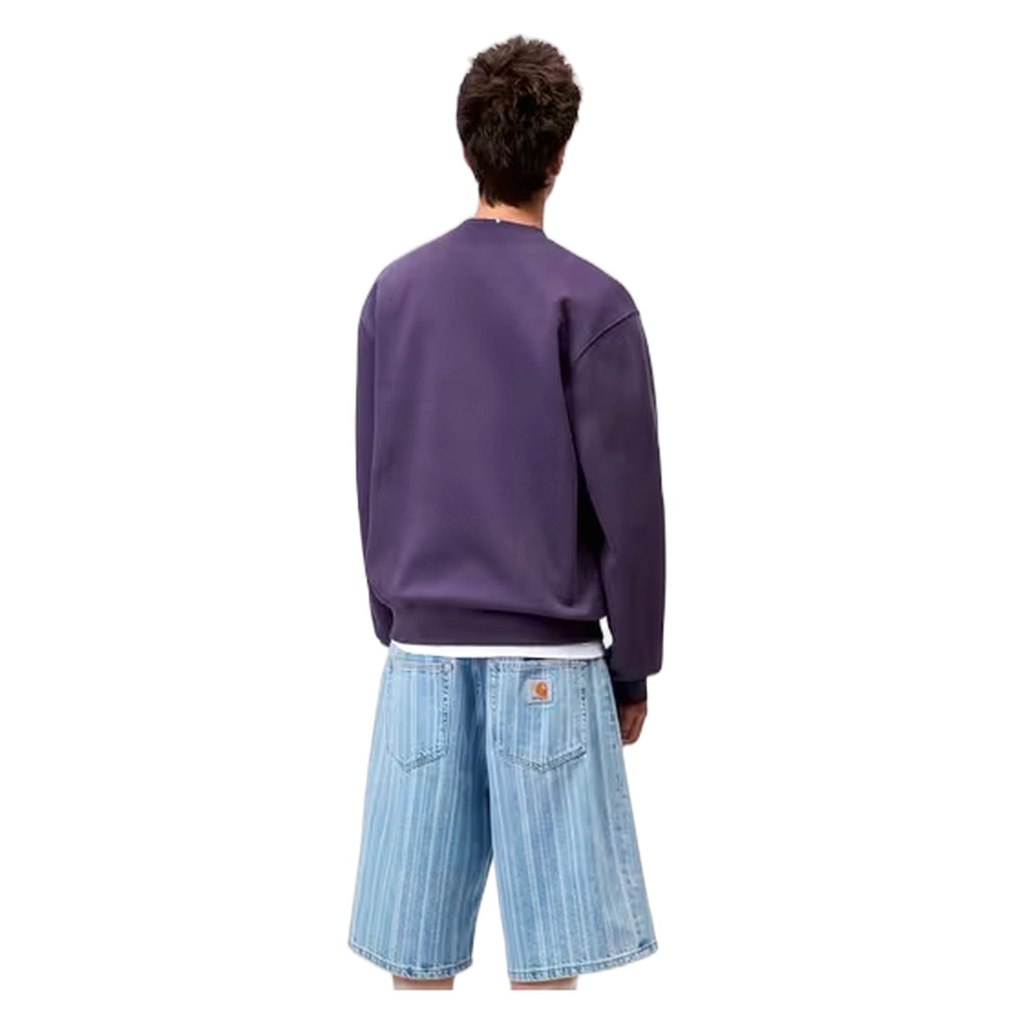 Felpa Carhartt Wip Carhartt Sweat - Lokers / Salt - Felpe di Carhartt Wip | Francis Concept