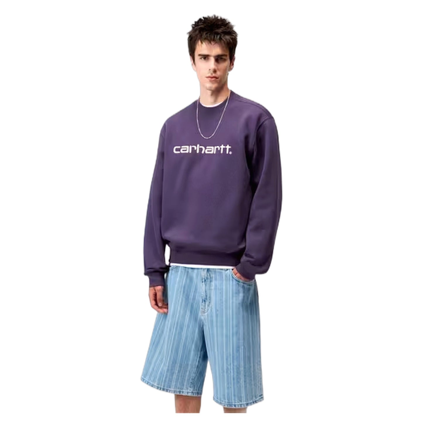 Felpa Carhartt Wip Carhartt Sweat - Lokers / Salt - Felpe di Carhartt Wip | Francis Concept
