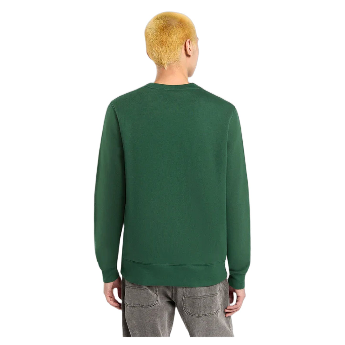 Felpa Dickies Oakport Sweatshirt - Pine Needle - Felpe di Dickies | Francis Concept