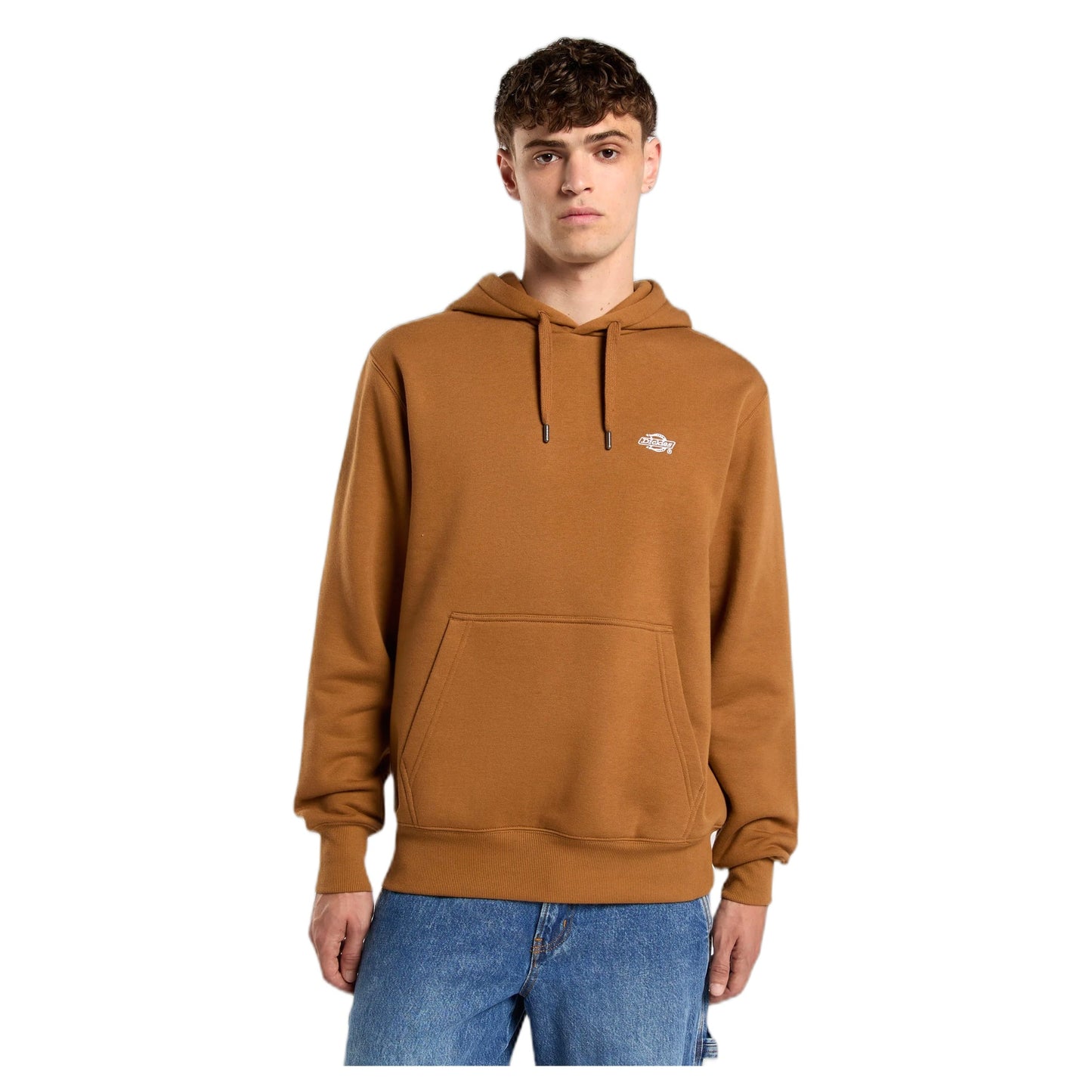 Felpa Dickies Summerdale Hoodie - Brown Duck - Felpe di Dickies | Francis Concept