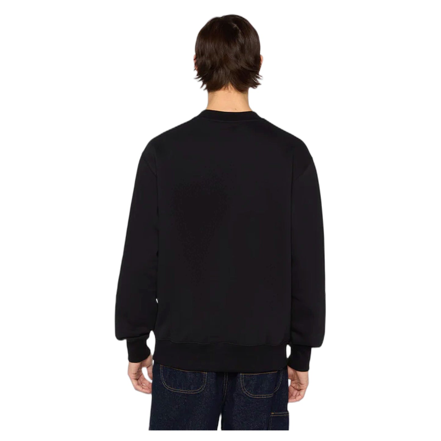 Felpa Dickies Summerdale Sweatshirt - Black - Felpe di Dickies | Francis Concept