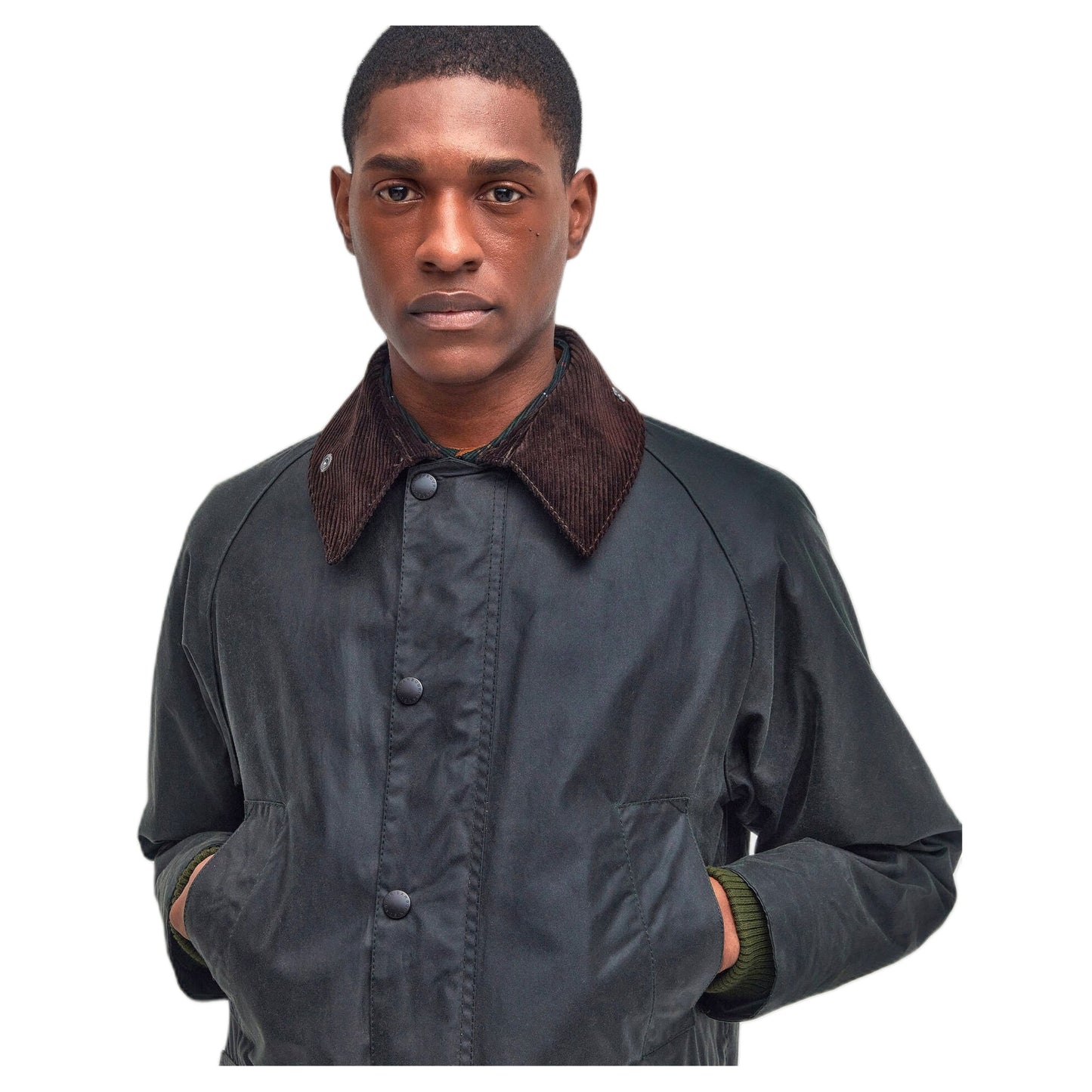 Giacca Barbour Bedale Wax - Sage - Giacche di Barbour | Francis Concept