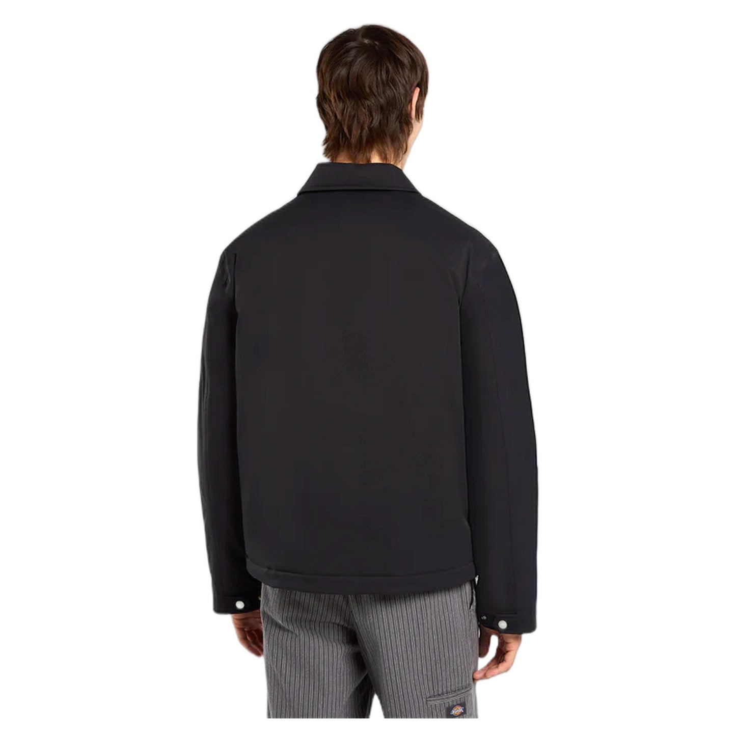 Giacca Dickies Eisenhower Puffer - Black - Giacche di Dickies | Francis Concept