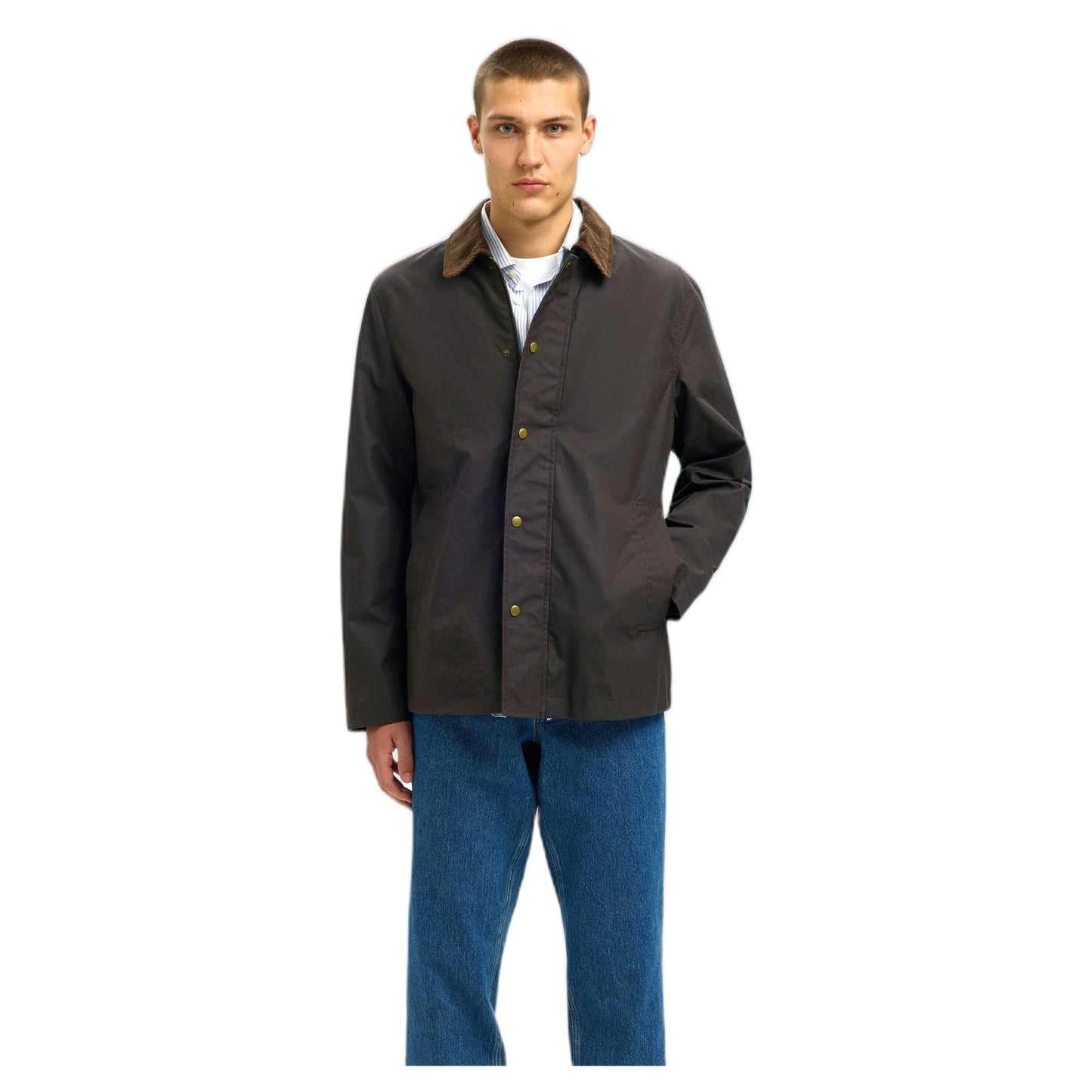 Giacca Selected Homme Walter Waxed Cotton 2.0 - Brown - Giacche di Selected Homme | Francis Concept