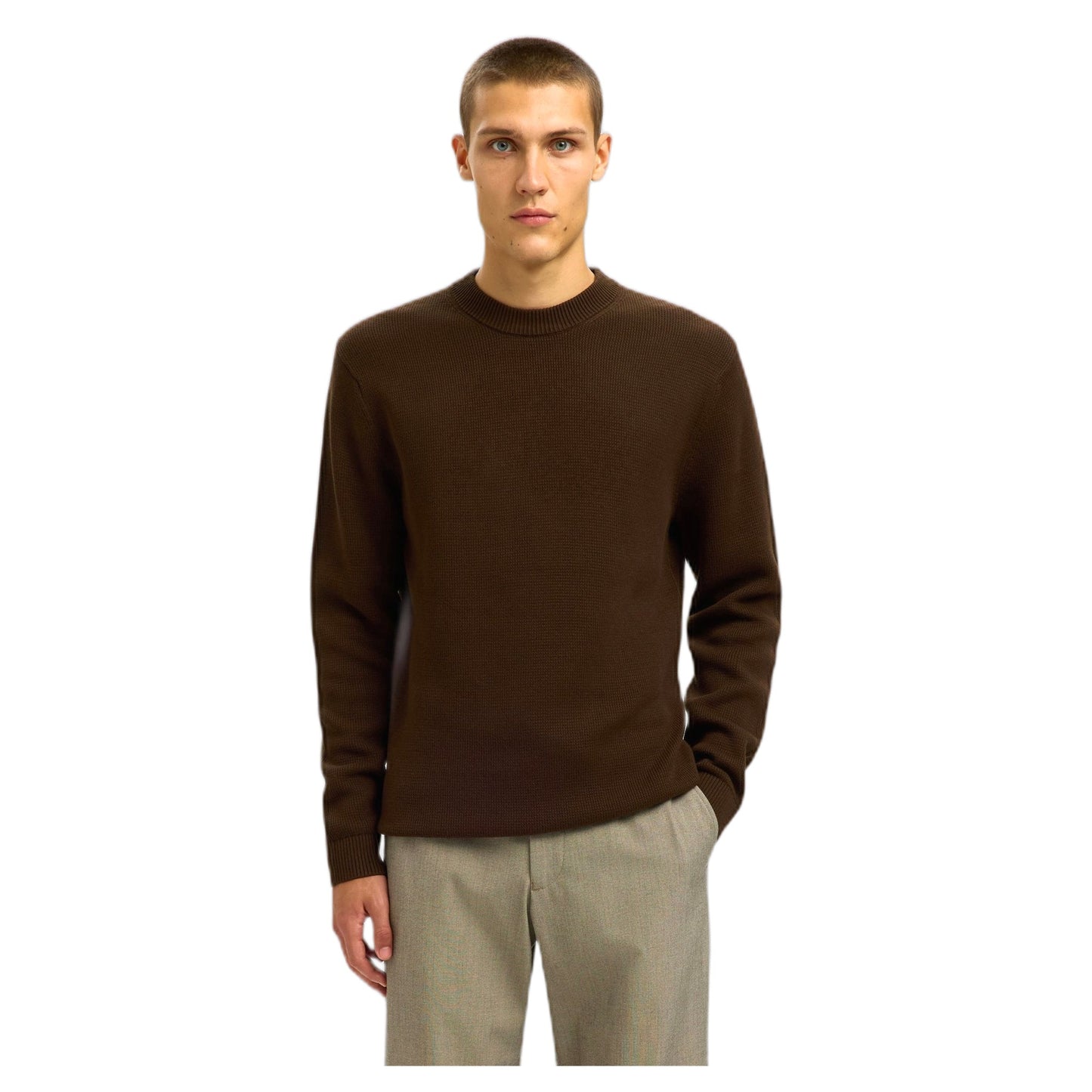 Maglione Selected Homme Ls Knit Structure Crew Neck - Marrone - Maglieria di Selected Homme | Francis Concept