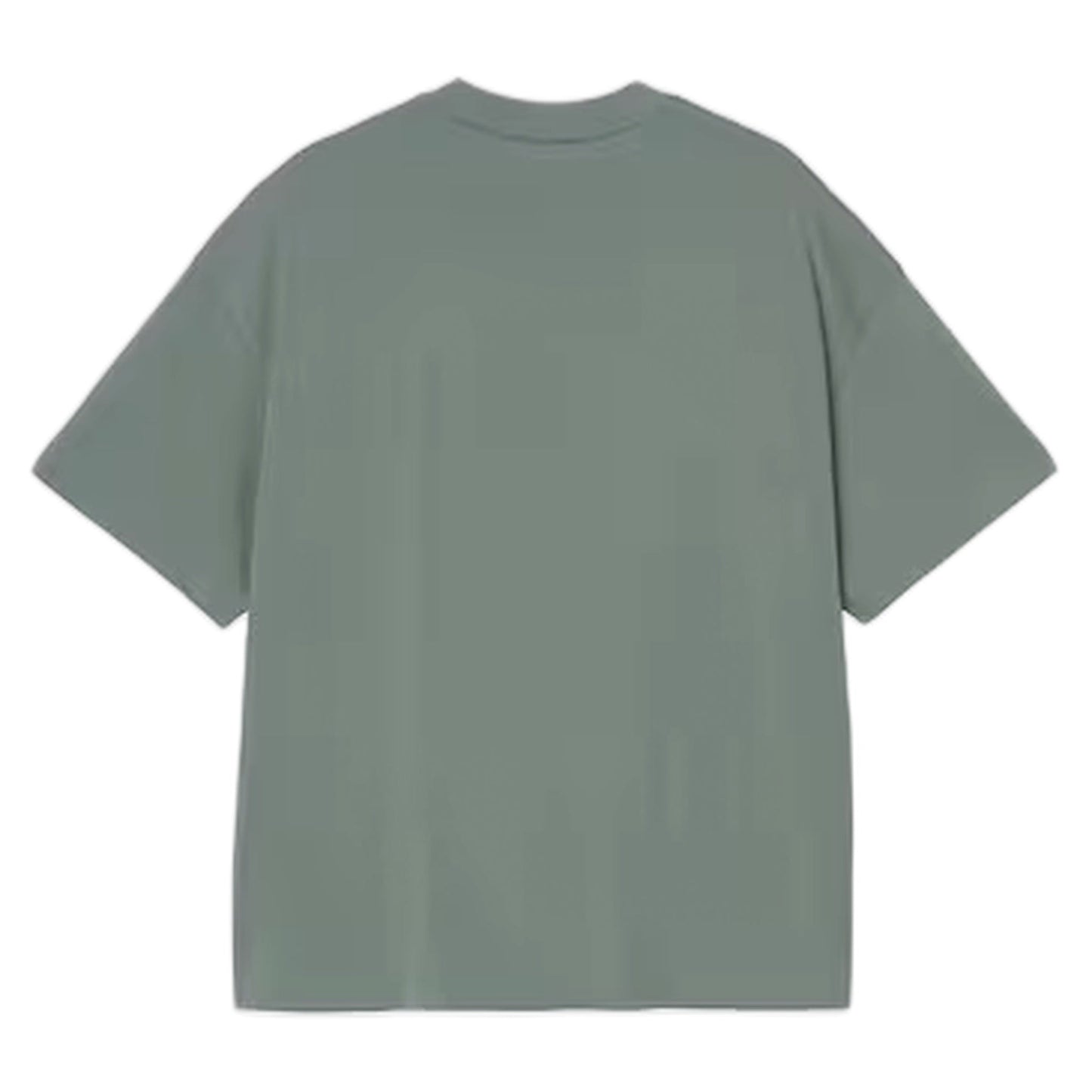 T-Shirt Carhartt Wip S/S Signature Script T-Shirt - Silver Pine / Jupiter - T-Shirt di Carhartt Wip | Francis Concept