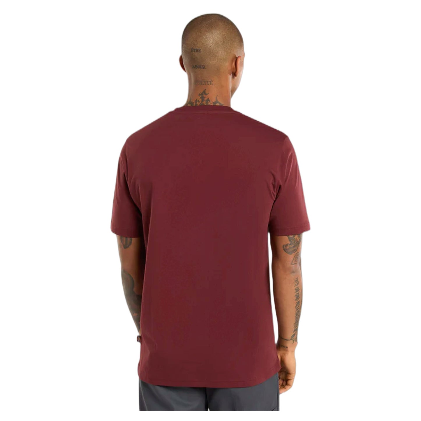 T-Shirt Dickies Mapleton SS Tee - Burgundy - T-Shirt di Dickies | Francis Concept
