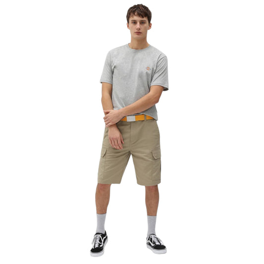 T-Shirt Dickies Mapleton Tee - Pale Green - T-Shirt di Dickies | Francis Concept