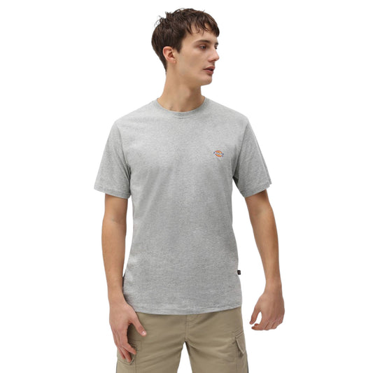 T-Shirt Dickies Mapleton Tee - Pale Green - T-Shirt di Dickies | Francis Concept