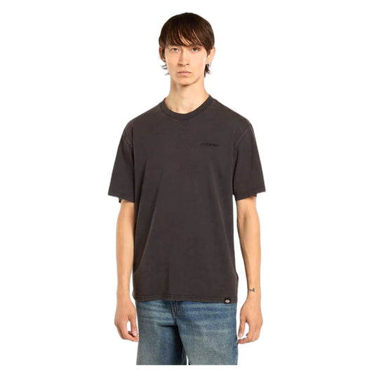T-Shirt Dickies Plentywood SS Tee - Black - T-Shirt di Dickies | Francis Concept