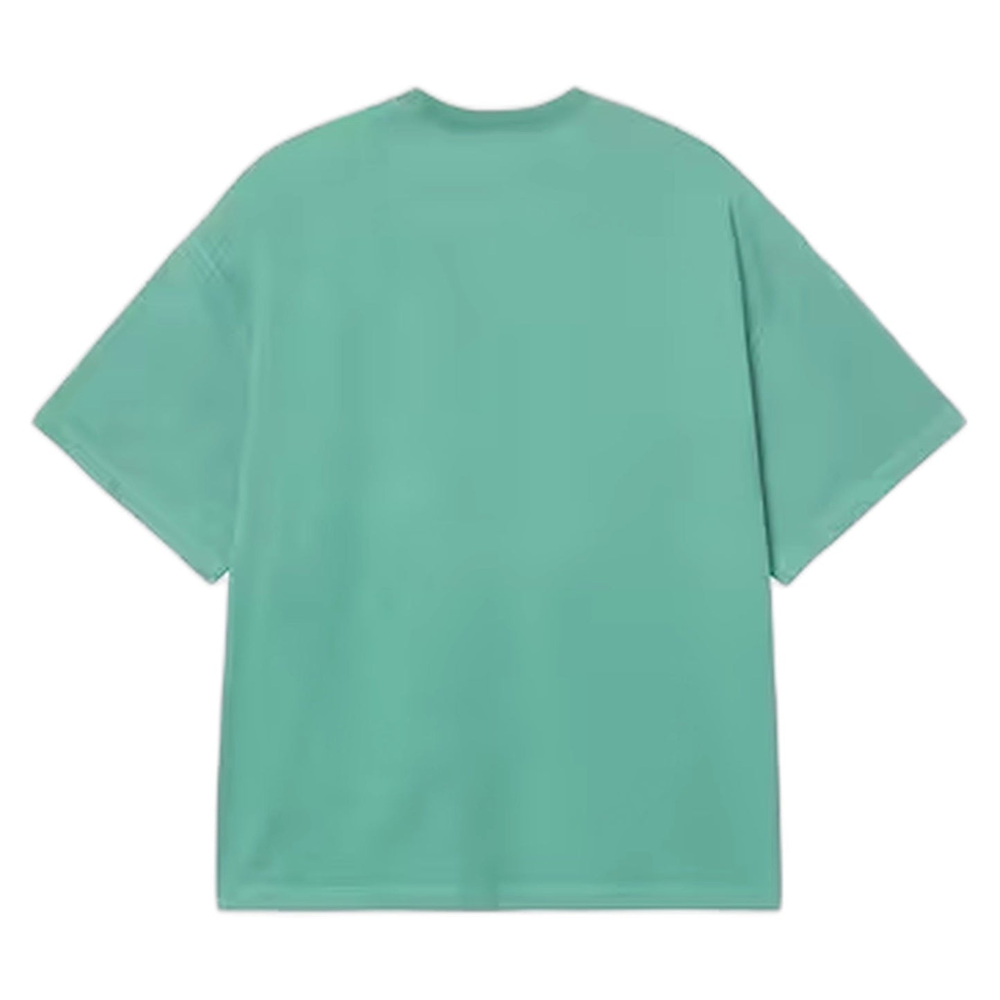 T-Shirt Hudson Pocket t - Shirt - Saguaro Chalk Wash - T-Shirt di Carhartt Wip | Francis Concept